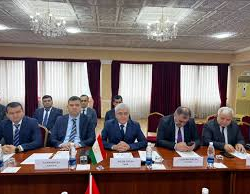 Бишкекте Кыргызстан менен Тажикстандын топографиялык топторунун жолугушуусу аяктады