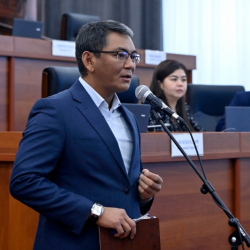 «У нас свой менталитет и традиции» - депутат против ужесточения наказания за семейное насилие