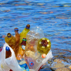 Экспортко, өндүрүшкө зыян. Желим буюмдарга кайра уруксат берүү сунушталууда