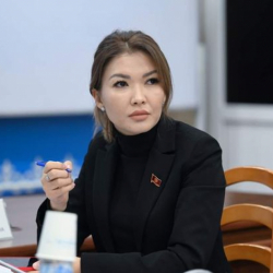 «Я открыто сказала то, чего не говорили другие» - Айдарова о своем исключении из фракции