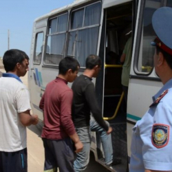 Казакстанда миграциялык рейд жүрүп жатат