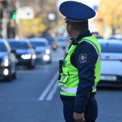 Бир жумада 278 мас айдоочу кармалды