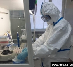 Кыргызстанда гепатиттин жана ВИЧтин таралышы боюнча улуттук изилдөө башталат