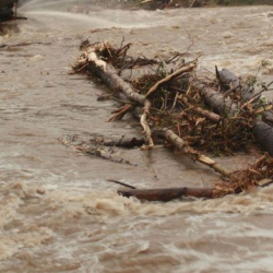 Баткенде селде 5 жаштагы бала каза болду