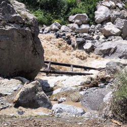 Ноокатта селден улам көз жумгандардын саны тогузга жетти