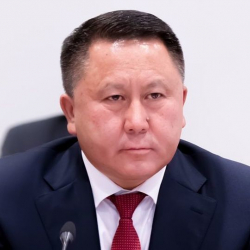 Зулушев Көк бөрү федерациясынын президенттигинен кетти