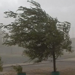 Сак болуңуз! Бишкек менен Чүйдө катуу шамал болушу күтүлөт