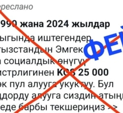 Министрлик шылуундар жөлөк пул жөнүндө жалган маалымат таратканын эскертти