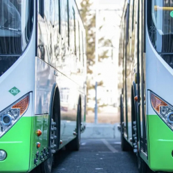 Бишкекте 5 автобустун кыймылы убактылуу өзгөртүлдү