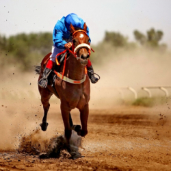 Виды соревнований на ВИК 2024. Бәйге – конные скачки казахского народа