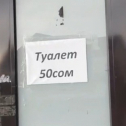 Отдыхающие на Иссык-Куле возмущены ценой за посещение туалета