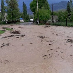 Өлкөнүн тоолуу аймактарында сел жүрүшү мүмкүн