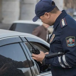 Чүй облусунун жол тескөөчүлөрү наристенин өмүрүн сактап калышты