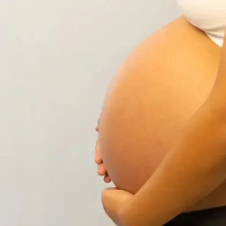 Париж Олимпиадасында кооптуу спорттун түрүнө кош бойлууну кабыл алышкан