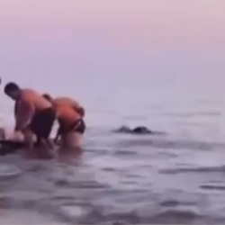 На Иссык-Куле с парашюта упала девушка