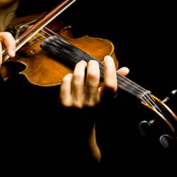 Бишкекте ачык асман алдында музыкалык кечелер өтөт