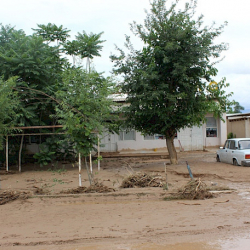 Нарындын Куланак айылында сел жүрдү