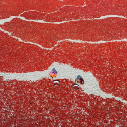 Андрей Стенин атындагы фотосынактын быйылкы жеңүүчүлөрү сентябрда жарыяланат