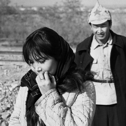 Бишкекте дүйнөлүк классикага айланган фильмдер чоң экранда акысыз көрсөтүлөт