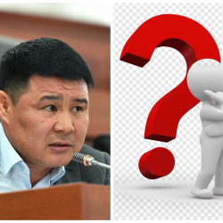 Тазабек Икрамовдун ордуна парламентке 9 талапкер ат салышат