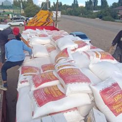 Ысык-Көлдө селден жабыркагандарга гумжардам таратылды