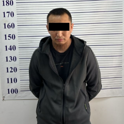 Досоновдун кылмыштуу тобунун мүчөсү өлкөдөн чыгып жатканда кармалды