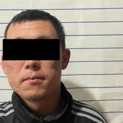 Бишкекте жаран сабалып каза болду. Шектүү колго түштү