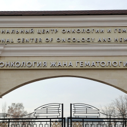 Улуттук онкология борборуна жаңы директор дайындалды