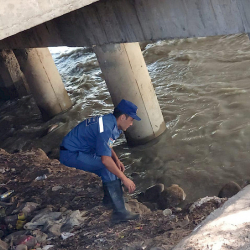 Ысык-Көлдө 73 жаштагы аялдын сөөгү табылды