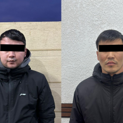 Өзбекстанга өтө күчтүү дары-дармектерди ташуучу канал аныкталды