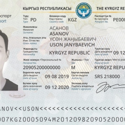 Депутаттар, судьялар. Дипломатиялык паспортко кимдер ээлик кыла алат?