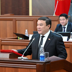 Депутат: Кыргызстанда иштегиси келген эл аралык маркетплейстер катталууга тийиш