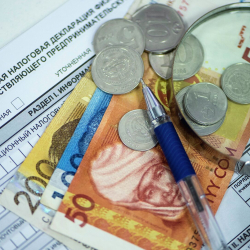 Салык кодекси: Декларацияны тапшыруудан кимдер бошотулду?