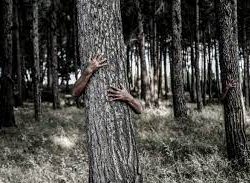 Түркиялык аял 50 жашында аны атасын өлтүргөн киши багып алганын билди