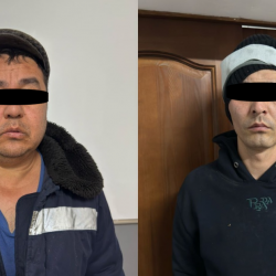 Тажикстанга мал өткөргөн деп эки адам кармалды