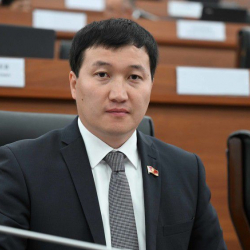 Депутат Самаков Акыйкатчы институтун жоюуну сунуштады