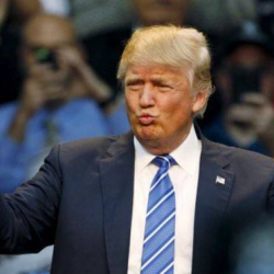 В России родился Трамп Владимирович