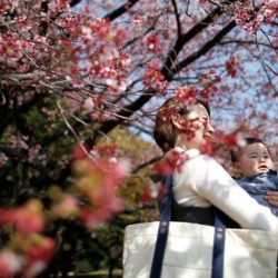 Япония побила антирекорд по рождаемости в 2024 году