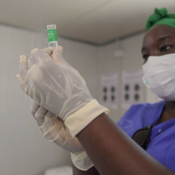 Окумуштуулар Сенегалдагы табышмактуу оорунун себебин аныкташты