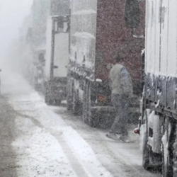 Сосновка постунда унаалардын бардык түрүнө чектөө киргизилди