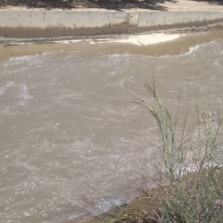 Оштогу каналдан 7 жаштагы баланын жансыз денеси табылды