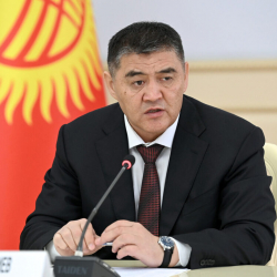 Камчыбек Ташиев призвал называть грецкий орех кыргызским