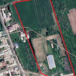 Государству вернули вино-водочный завод в Кара-Суу