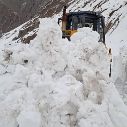 Нарын облусунда кар көчкү түштү