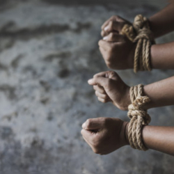 Кыргызстанцы находились в рабстве в Мьянме - депутат Ажибаев