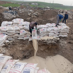 АКШдан алып келинген 18 тонна күрүч жок кылынды