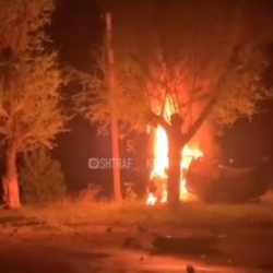 Воронцовкада BMW унаасы бакты сүзүп, айдоочусу өрттөнүп кетти