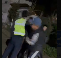 Жол тескөөчүнү муштап жиберген жарандар камакка алынды