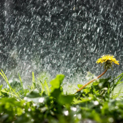 Айрым жерлерде жаан катуу жаайт. 2-майга карата аба ырайы