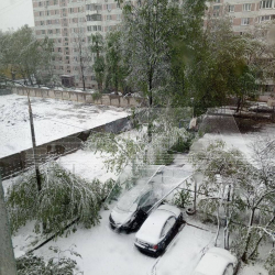 Москвада кар жаап, 116 жыл мурдагы рекордду жаңылады